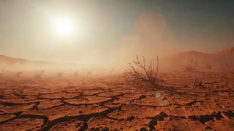 Un desierto árido y dramático
